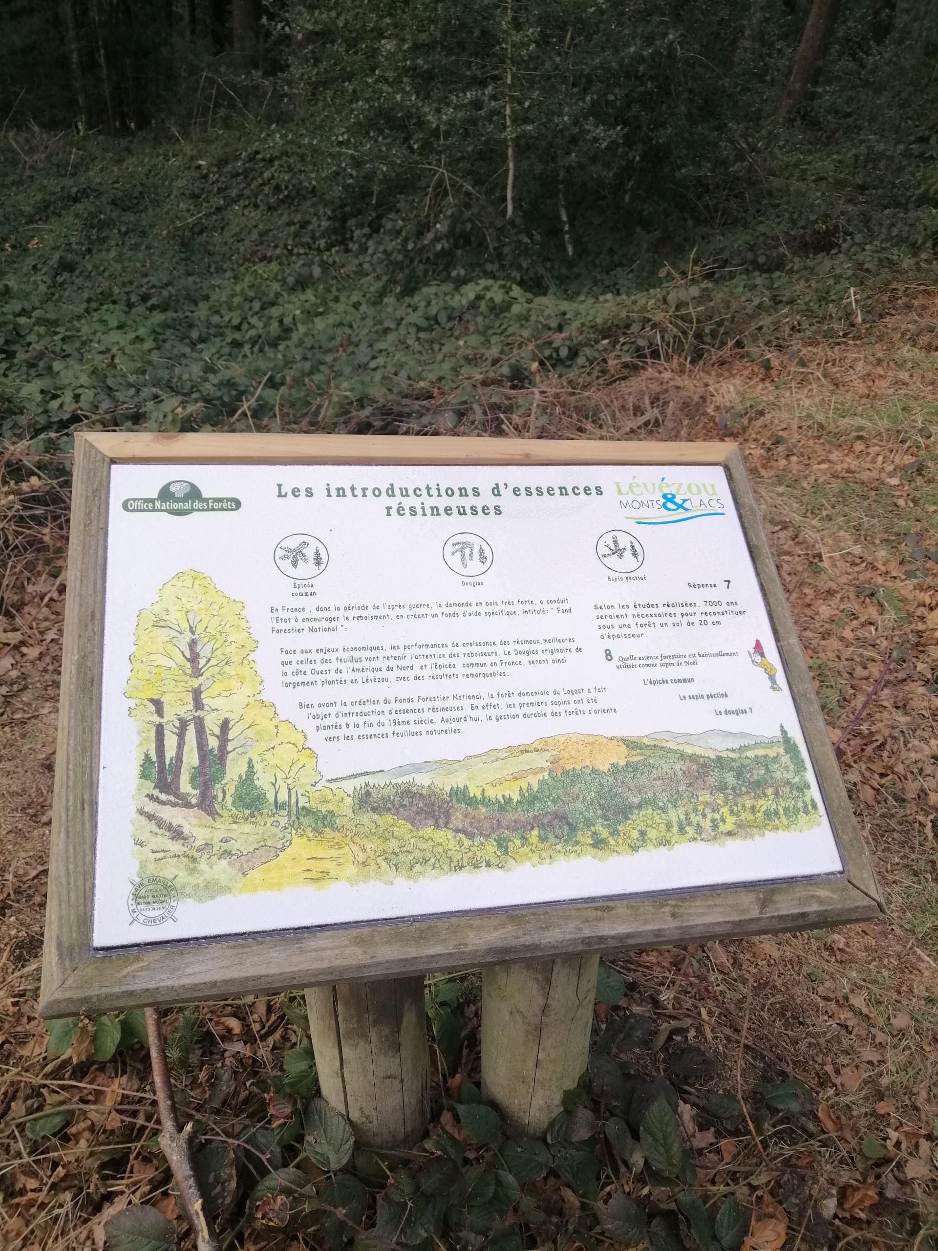 Lire la suite à propos de l’article Informations forêt domaniale du Lagast