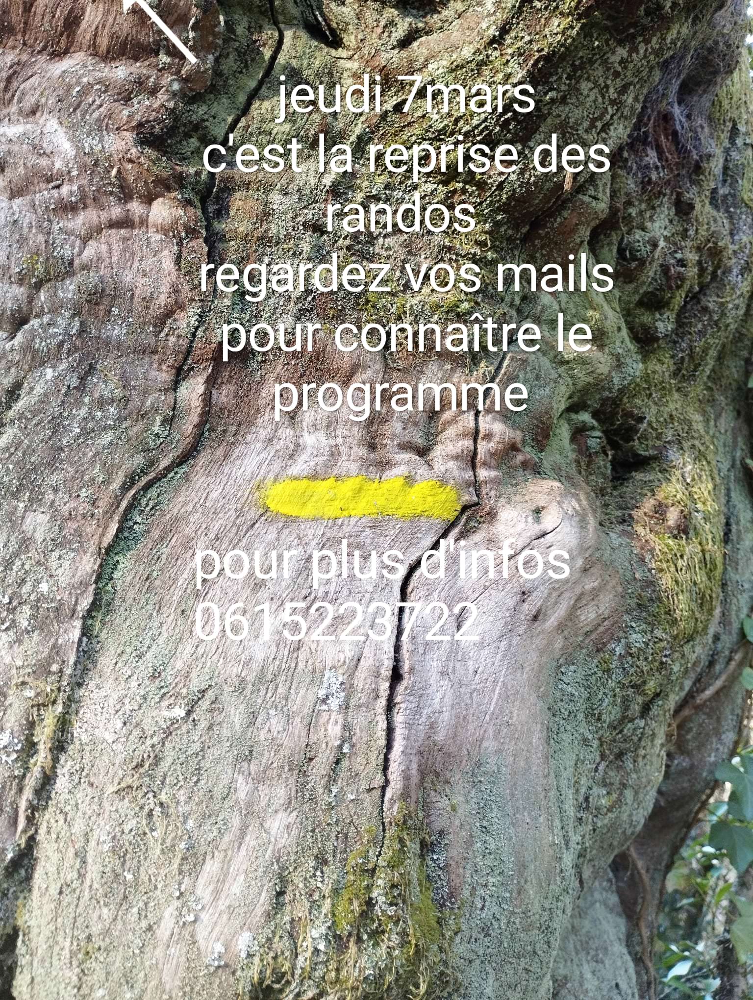 Lire la suite à propos de l’article Reprise des randonnées pour les Marcheurs Auriacois